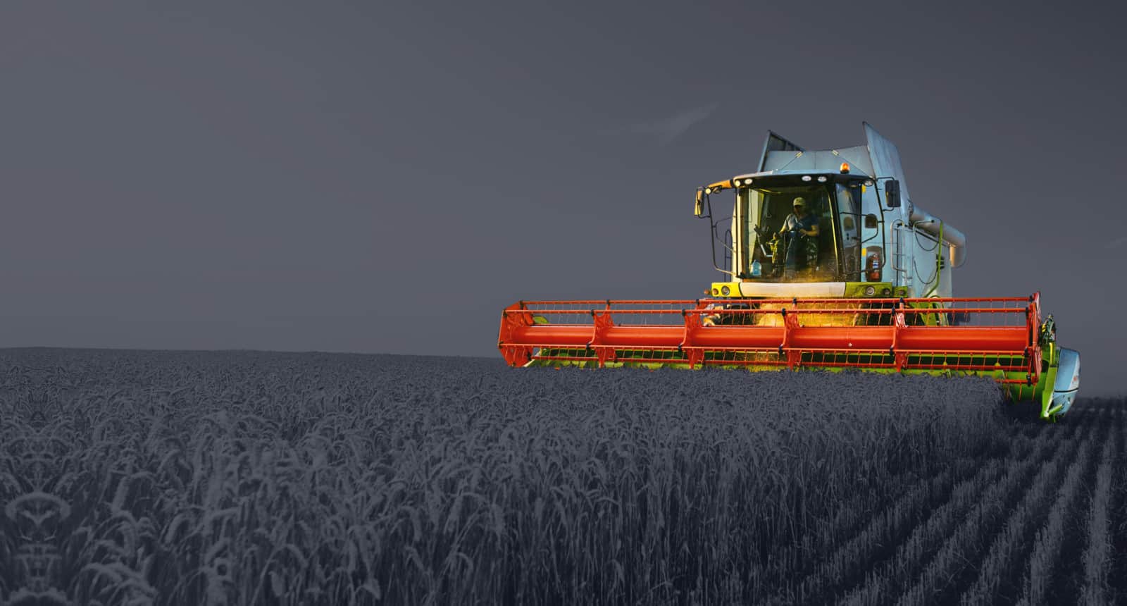 Pet Food Ingredient Blending