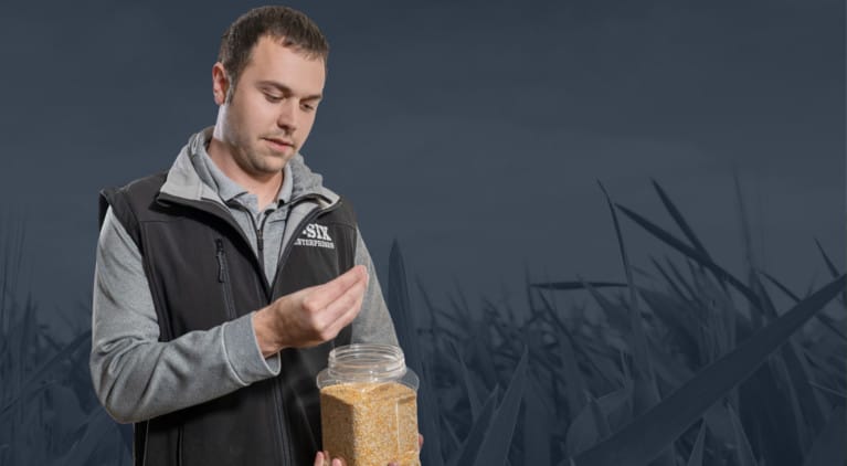 Man Inspecting Corn